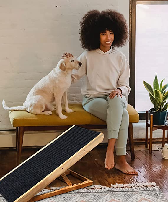 Foldable Dog Ramp